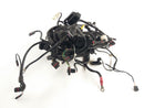 BMW K 1200 R [2010] - wiring harness-1