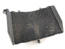 Yamaha YZF R1 RN12 [2005] - Radiator Water Cooler-1