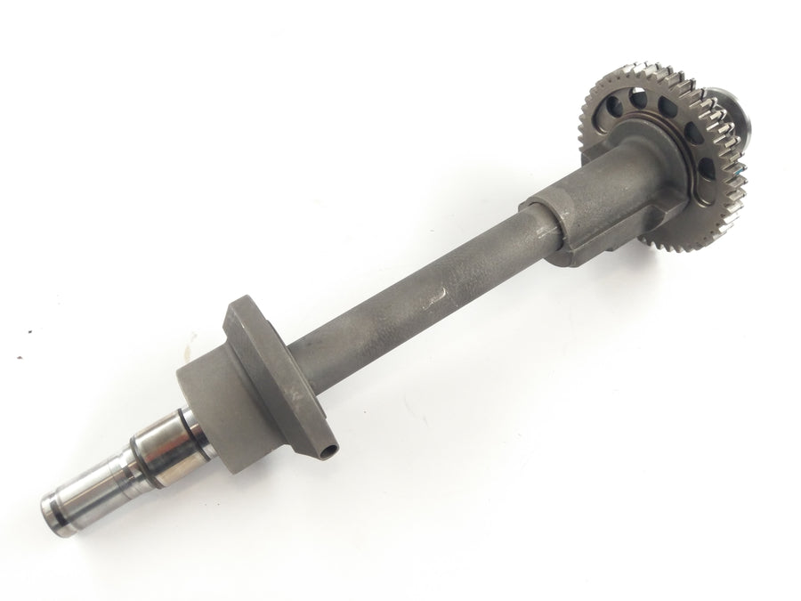 Triumph Speed ​​Triple 955i T595N [2002] - Balance shaft