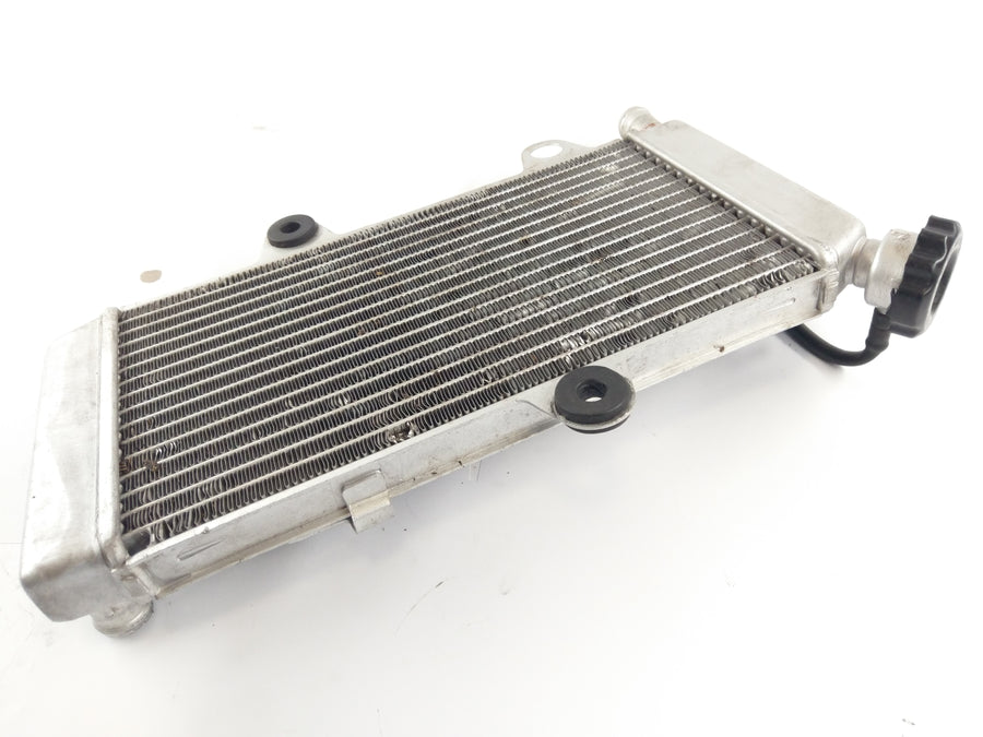 Yamaha XT 660 X DM01 [2006] - Radiator Water Cooler