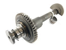 Triumph Speed ​​Triple 955i T509 [1997] - balance shaft-3