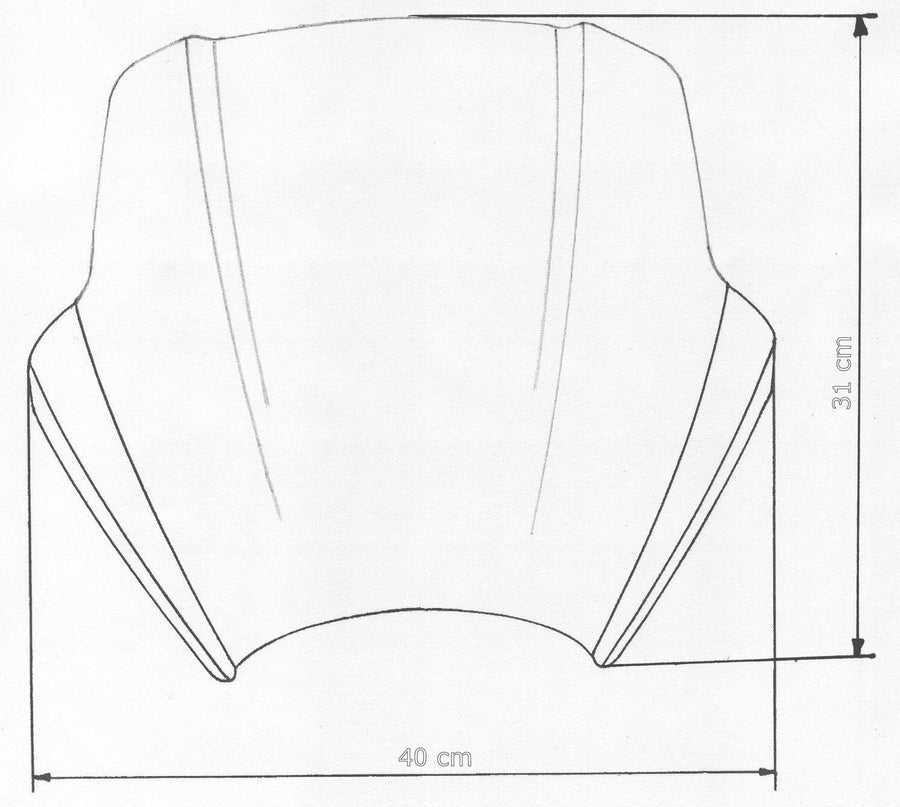 BMW Speed ​​screen for naked bike-speed screen for naked bikes "SPS"