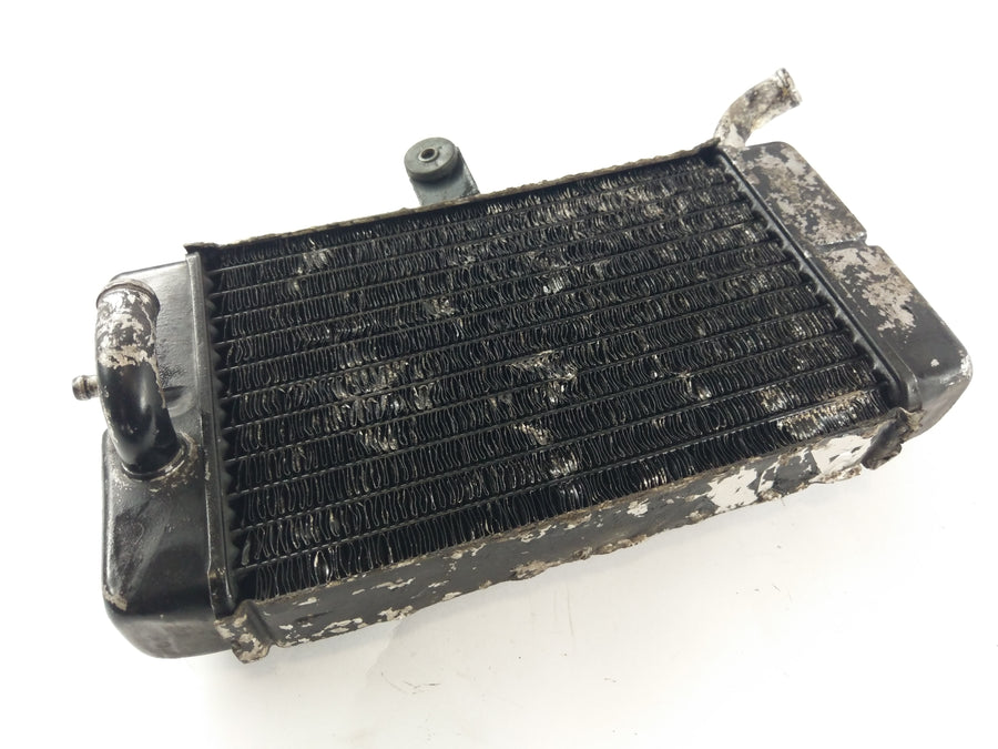 Honda XRV 650 African Twin RD03 [1989] - Radiator Water Cooler